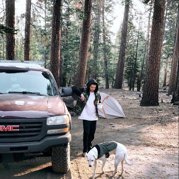 Meet your Posher lil brixton - Picture 1 of 1